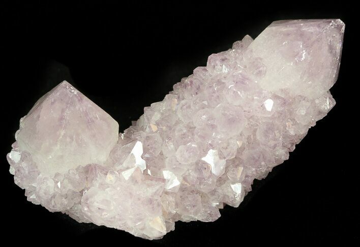 Cactus Quartz (Amethyst) Crystal - Large Crystals #44787